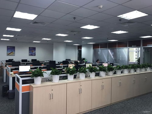 看準(zhǔn)網(wǎng)視角 企業(yè)總部管理的成功密碼——快速發(fā)展與優(yōu)質(zhì)工作環(huán)境